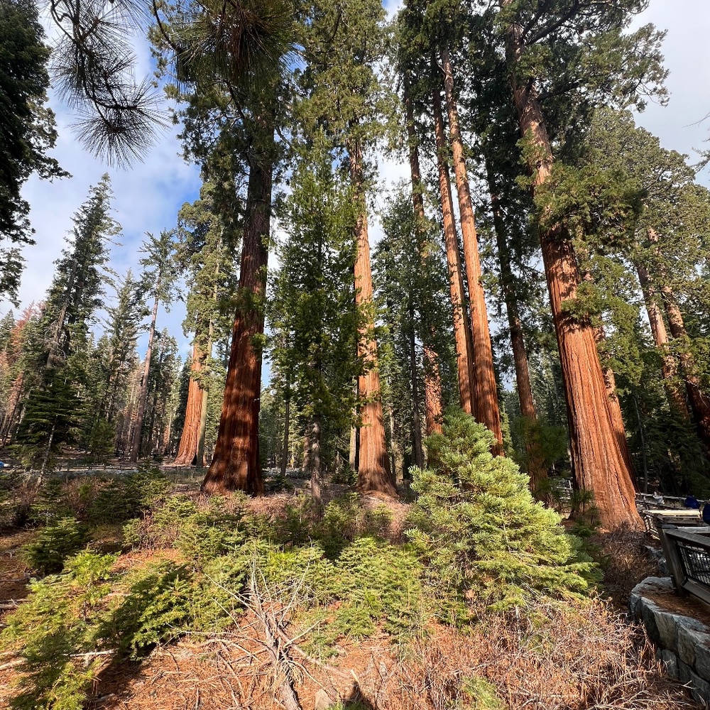 Meet your Posher, Adriana